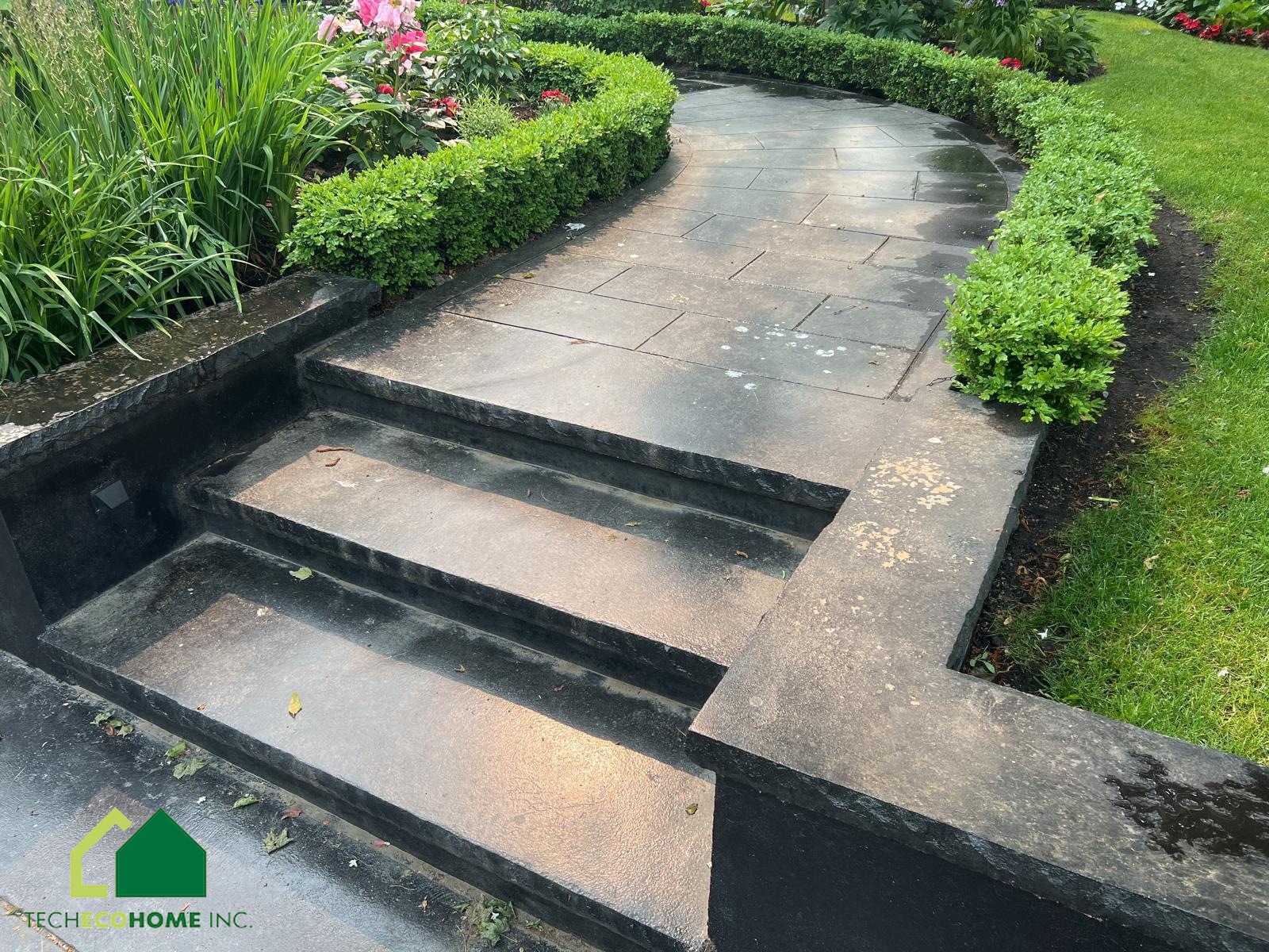 Concrete walkway and steps through a residential garden